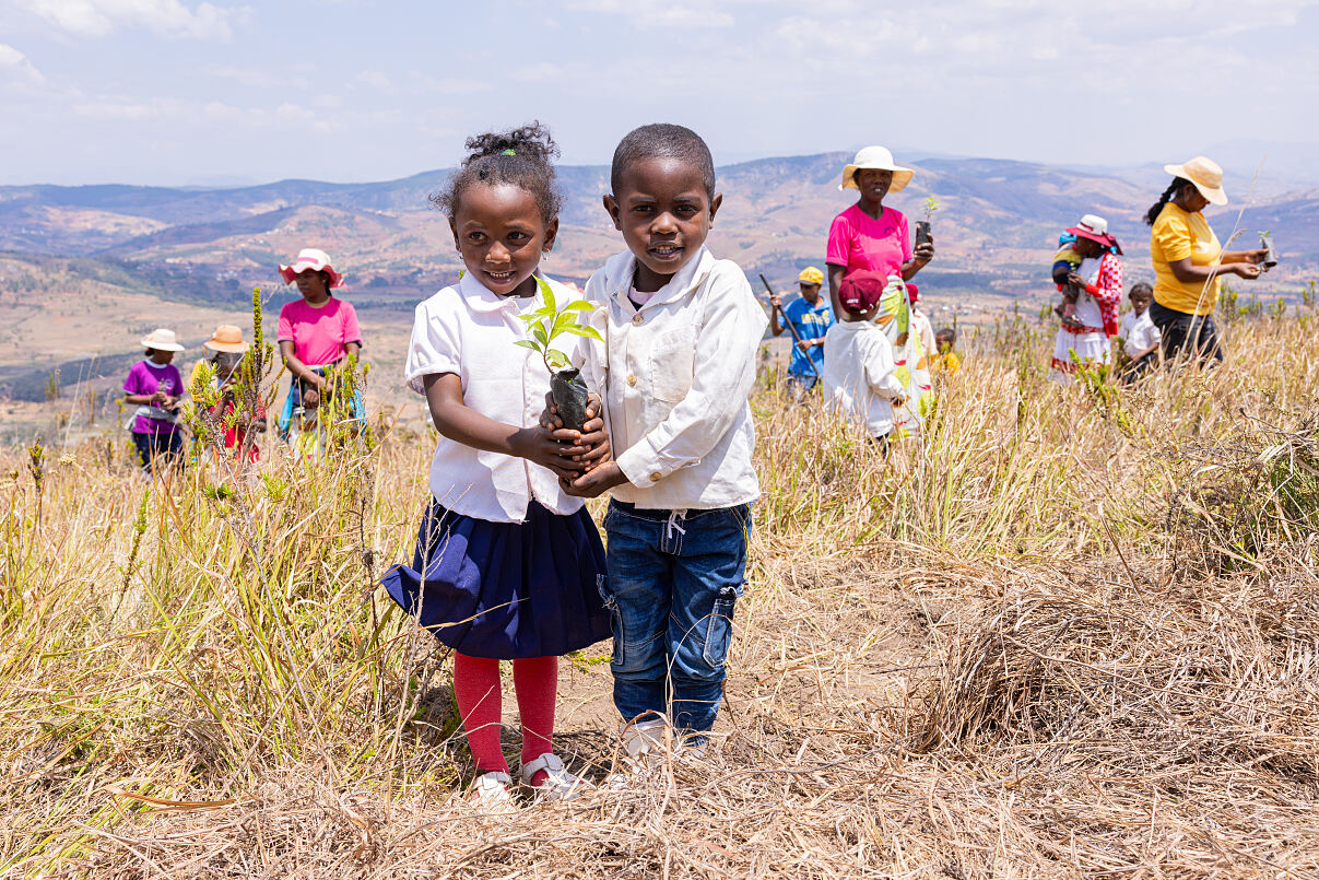 Die Kinder pflanzen jährlich zum Baumpflanztag ein eigenes Bäumchen im Hochland von Madagaskar